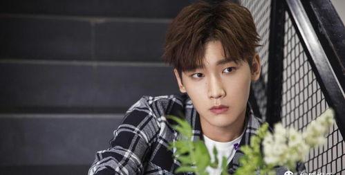 李泰容恋情爆料最新消息,新恋情细节及网友热议汇总